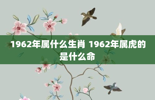 1962年属什么生肖 1962年属虎的是什么命