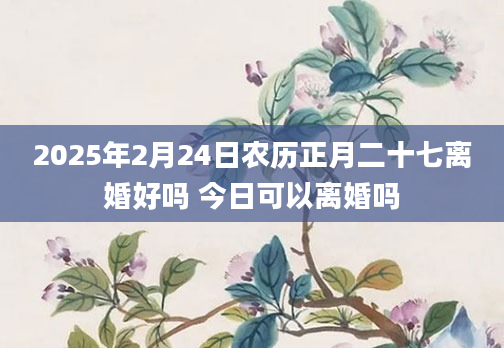 2025年2月24日农历正月二十七离婚好吗 今日可以离婚吗