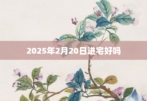 2025年2月20日进宅好吗