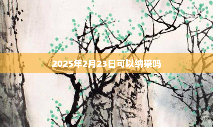2025年2月23日可以纳采吗