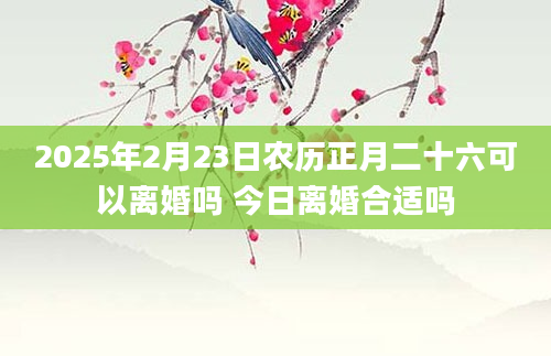 2025年2月23日农历正月二十六可以离婚吗 今日离婚合适吗