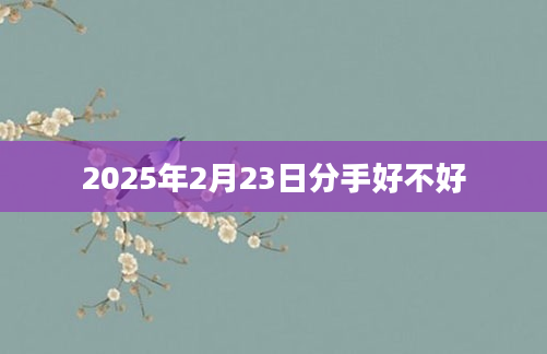 2025年2月23日分手好不好