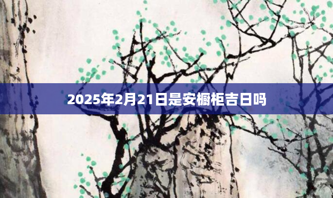 2025年2月21日是安橱柜吉日吗