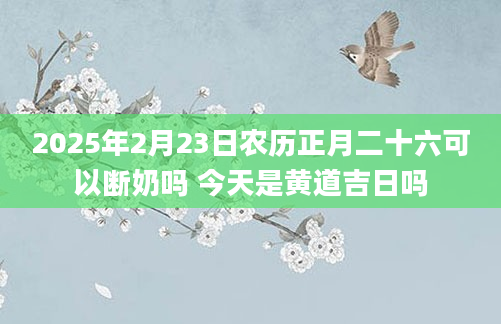 2025年2月23日农历正月二十六可以断奶吗 今天是黄道吉日吗