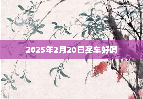 2025年2月20日买车好吗
