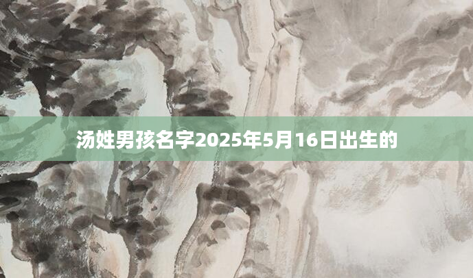 汤姓男孩名字2025年5月16日出生的