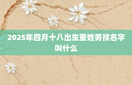 2025年四月十八出生董姓男孩名字叫什么