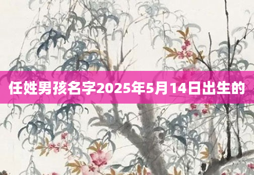 任姓男孩名字2025年5月14日出生的