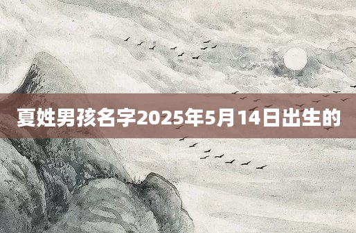 夏姓男孩名字2025年5月14日出生的