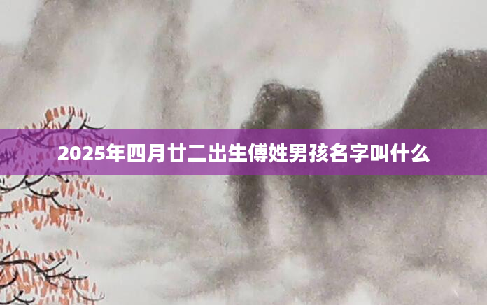 2025年四月廿二出生傅姓男孩名字叫什么