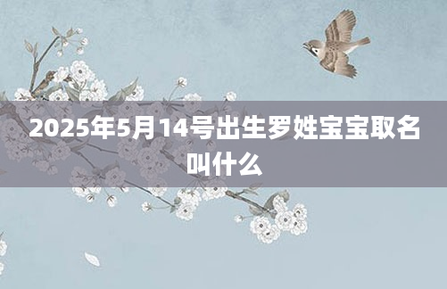 2025年5月14号出生罗姓宝宝取名叫什么