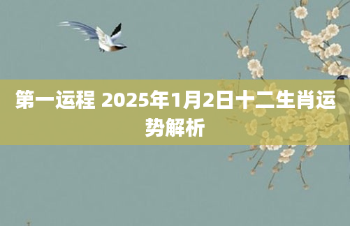 第一运程 2025年1月2日十二生肖运势解析