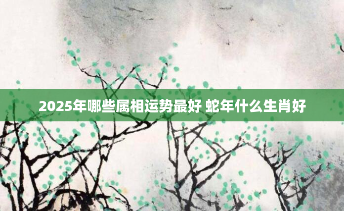 2025年哪些属相运势最好 蛇年什么生肖好