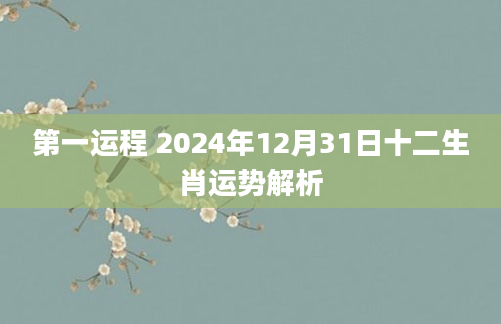 第一运程 2024年12月31日十二生肖运势解析