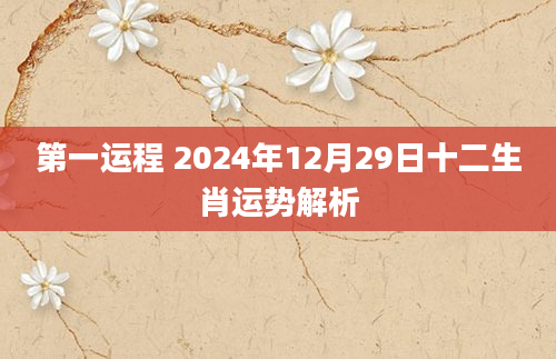 第一运程 2024年12月29日十二生肖运势解析
