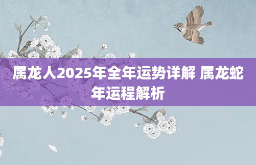 属龙人2025年全年运势详解 属龙蛇年运程解析