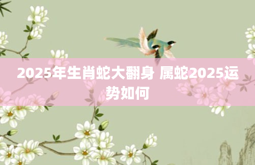 2025年生肖蛇大翻身 属蛇2025运势如何