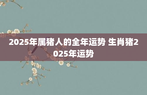 2025年属猪人的全年运势 生肖猪2025年运势