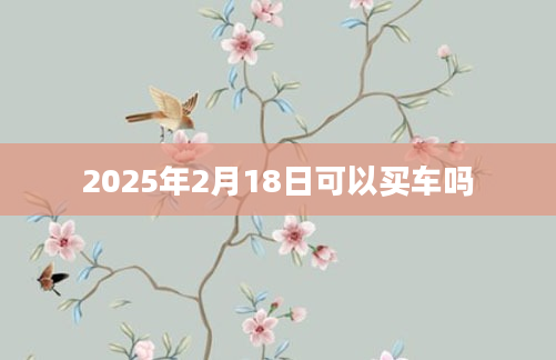 2025年2月18日可以买车吗