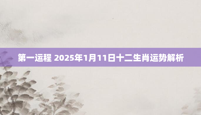 第一运程 2025年1月11日十二生肖运势解析