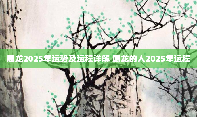 属龙2025年运势及运程详解 属龙的人2025年运程