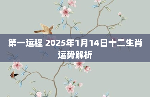 第一运程 2025年1月14日十二生肖运势解析