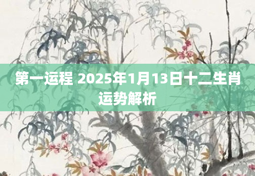 第一运程 2025年1月13日十二生肖运势解析