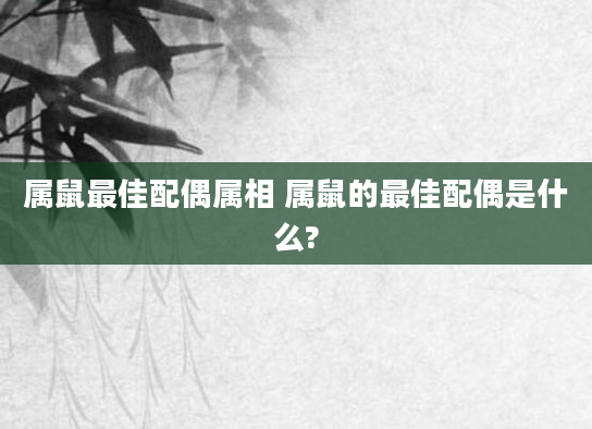 属鼠最佳配偶属相 属鼠的最佳配偶是什么?