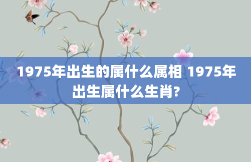 1975年出生的属什么属相 1975年出生属什么生肖?