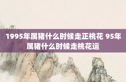 1995年属猪什么时候走正桃花 95年属猪什么时候走桃花运