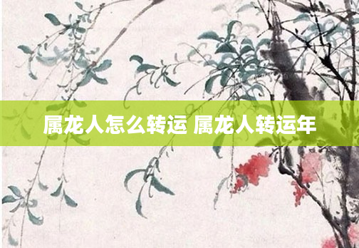 属龙人怎么转运 属龙人转运年
