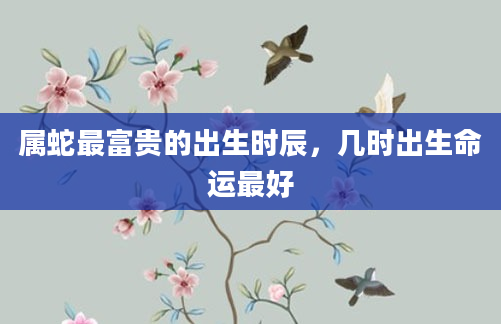 属蛇最富贵的出生时辰，几时出生命运最好