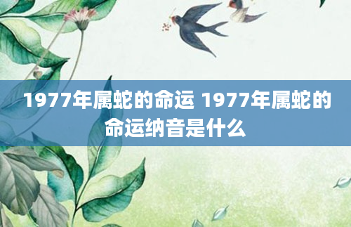 1977年属蛇的命运 1977年属蛇的命运纳音是什么