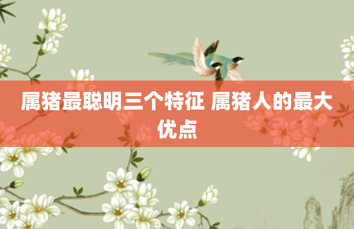 属猪最聪明三个特征 属猪人的最大优点