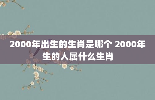 2000年出生的生肖是哪个 2000年生的人属什么生肖
