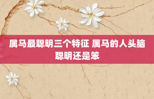 属马最聪明三个特征 属马的人头脑聪明还是笨