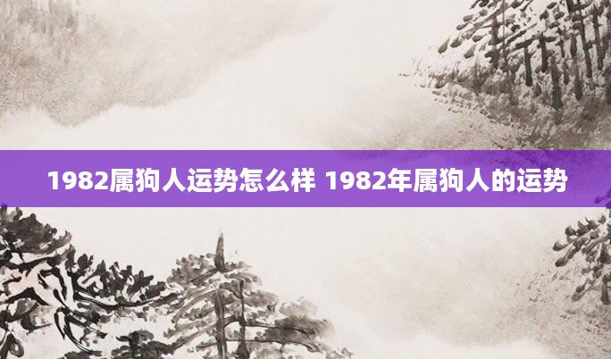 1982属狗人运势怎么样 1982年属狗人的运势