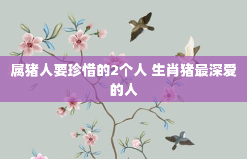 属猪人要珍惜的2个人 生肖猪最深爱的人