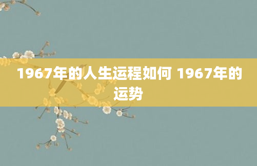 1967年的人生运程如何 1967年的运势