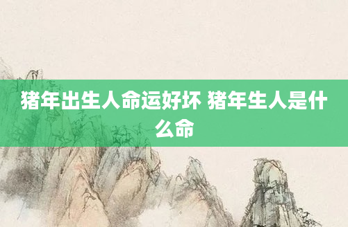 猪年出生人命运好坏 猪年生人是什么命