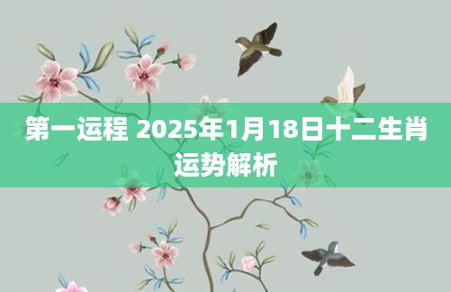 第一运程 2025年1月18日十二生肖运势解析