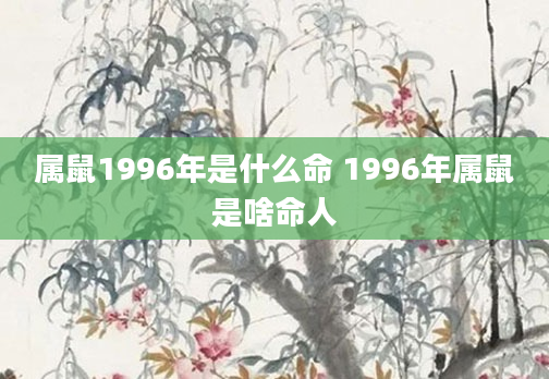 属鼠1996年是什么命 1996年属鼠是啥命人