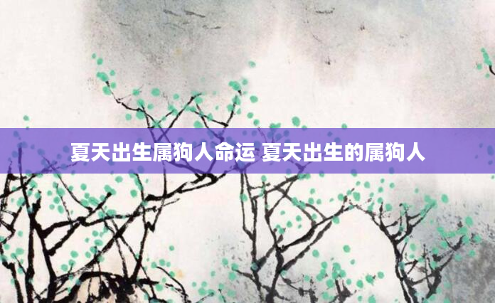 夏天出生属狗人命运 夏天出生的属狗人