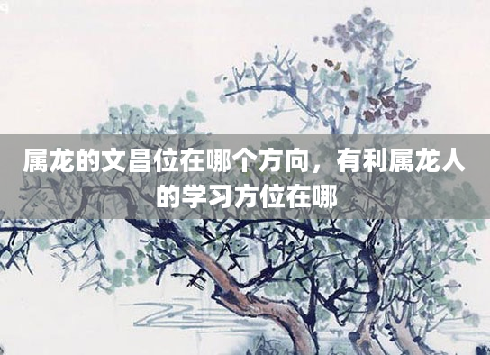 属龙的文昌位在哪个方向，有利属龙人的学习方位在哪