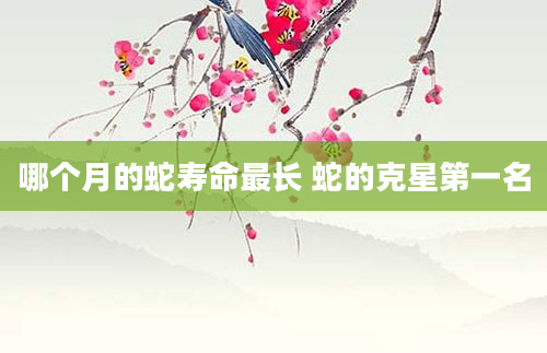 哪个月的蛇寿命最长 蛇的克星第一名