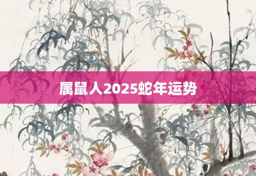 属鼠人2025蛇年运势