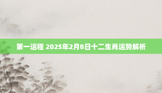 第一运程 2025年2月8日十二生肖运势解析