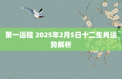 第一运程 2025年2月5日十二生肖运势解析