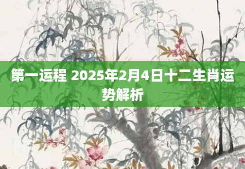 第一运程 2025年2月4日十二生肖运势解析