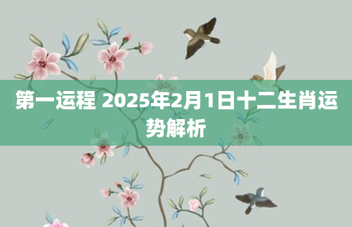 第一运程 2025年2月1日十二生肖运势解析
